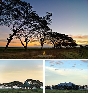 PAMPANGA | Glorious Sunrise at the Candaba Ricefields - Lakad Pilipinas